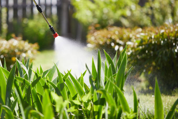 24/7 Emergency Fumigation Services experts in Yoakum, TX