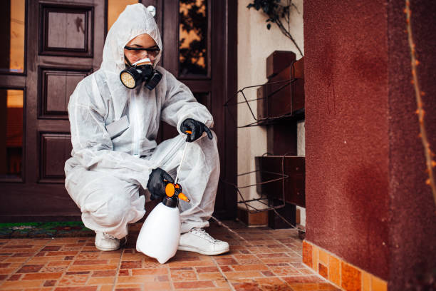 Reliable Fumigation Services contractor in Yoakum, TX by Nex Pest Control