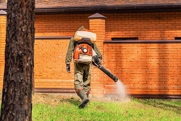Trusted Termite Control service in Yoakum, TX - Nex Pest Control